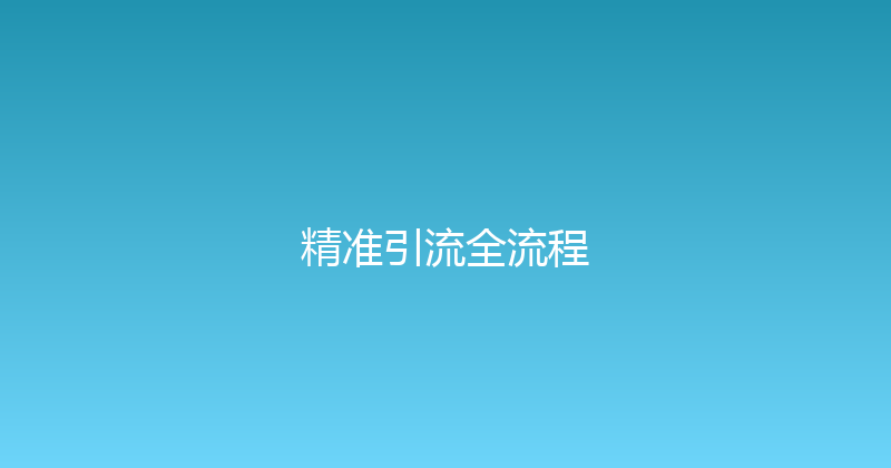 精准引流全流程 封面图